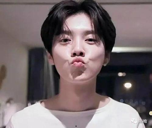 鹿晗反面爆料视频大全下载,视频大全深度解析