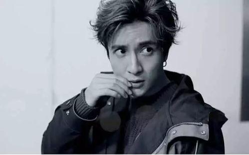 娱乐圈吃瓜熊猫胖胖